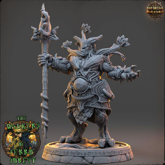 Master Solrath Nyxwither - The Walkers of Ferro Forest