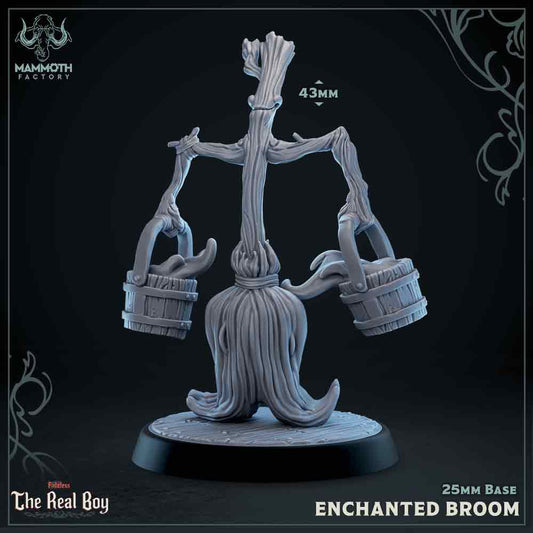 Enchanted Broom - The Real Boy