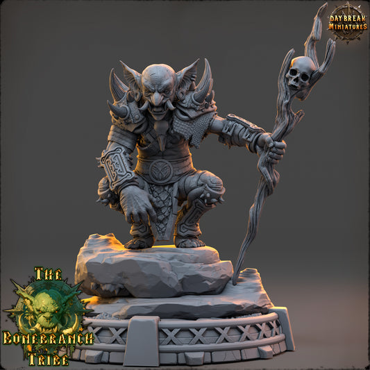 Gnartz the Rot-Eye - The Bonebranch Tribe