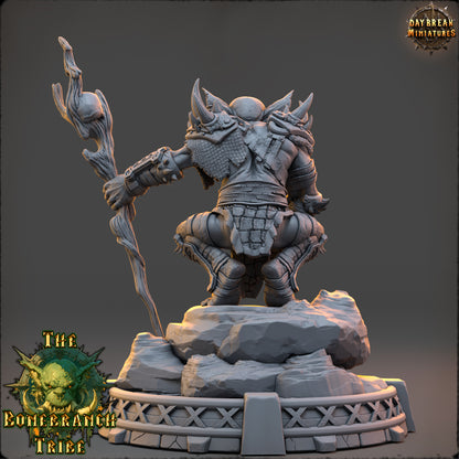 Gnartz the Rot-Eye - The Bonebranch Tribe