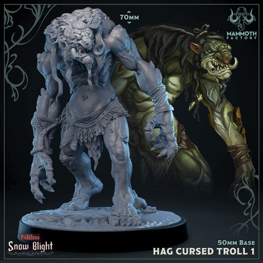 Hag Cursed Troll 1  - Snow Blight