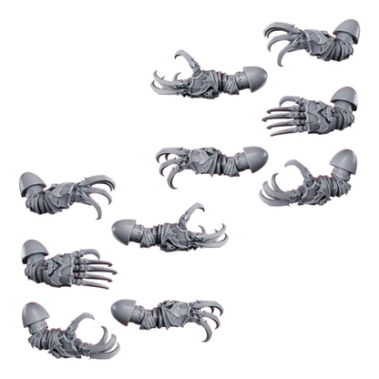 Nocturnal Claws