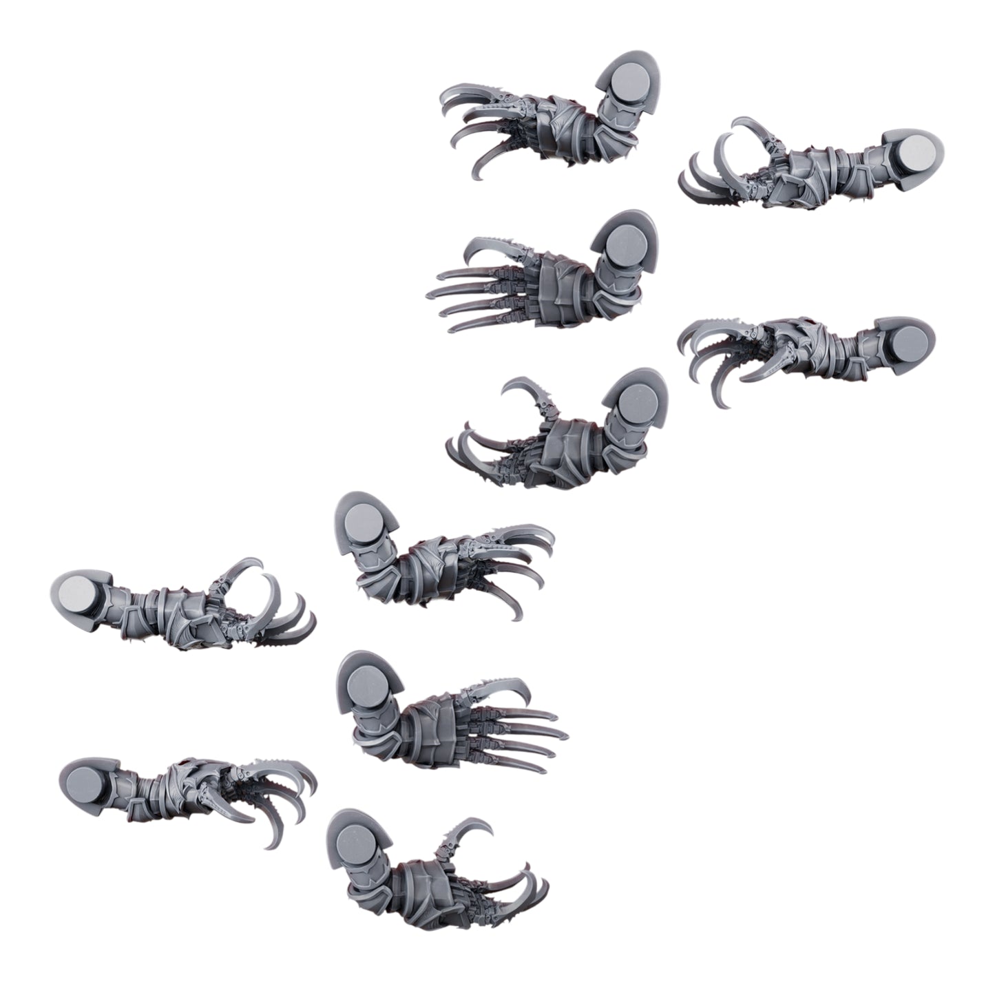 Nocturnal Claws