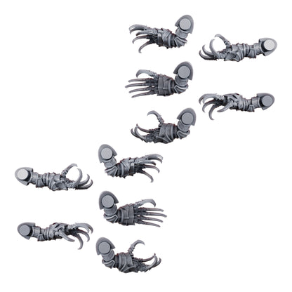 Nocturnal Claws