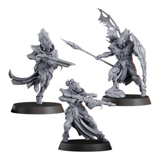 Parlous Hermits Squad