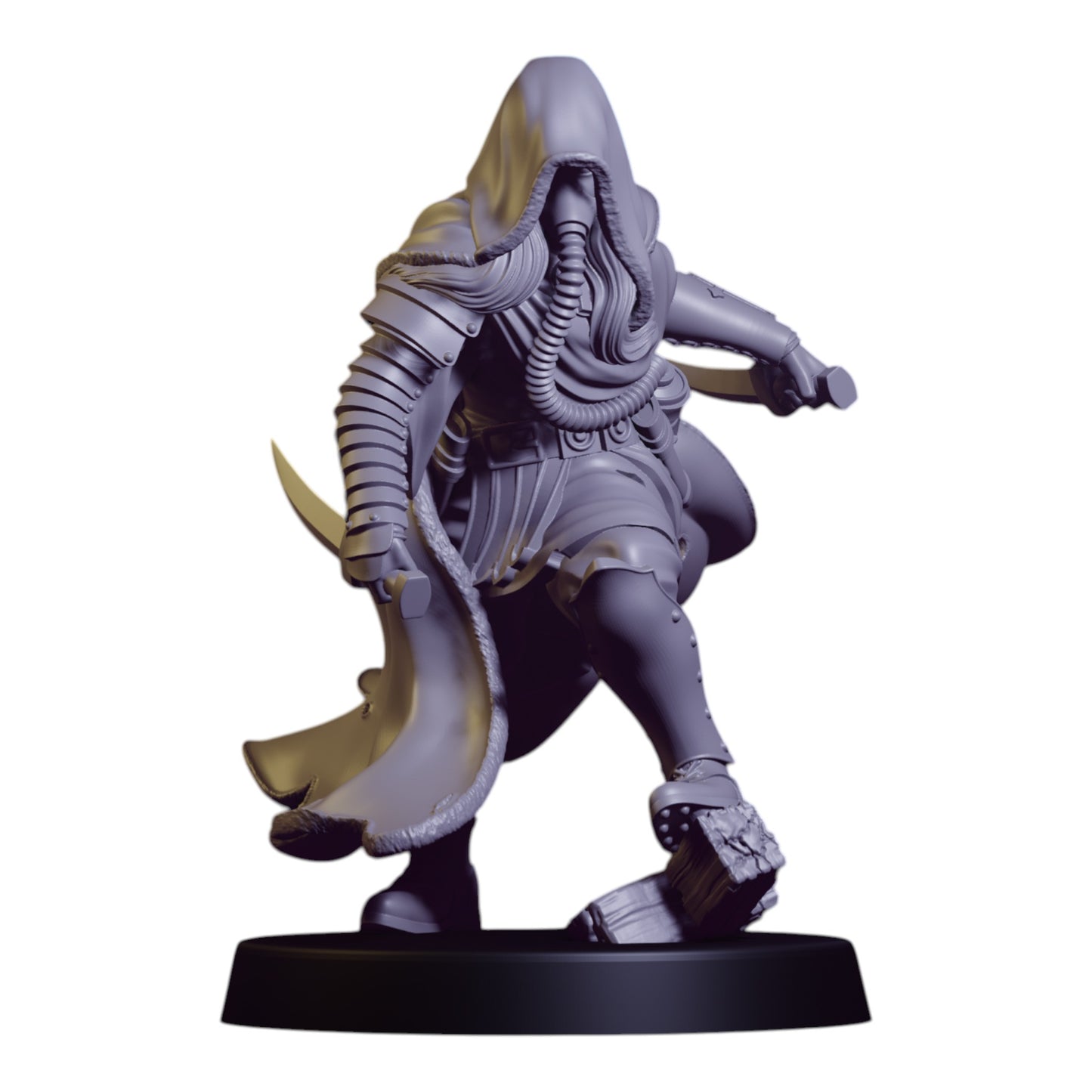 Sicarius Assassin