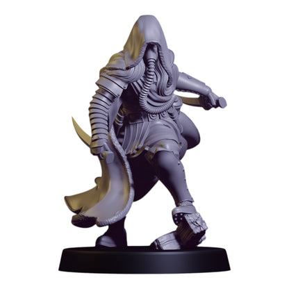 Sicarius Assassin