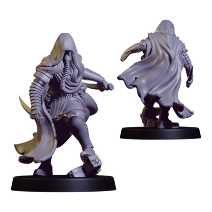 Sicarius Assassin