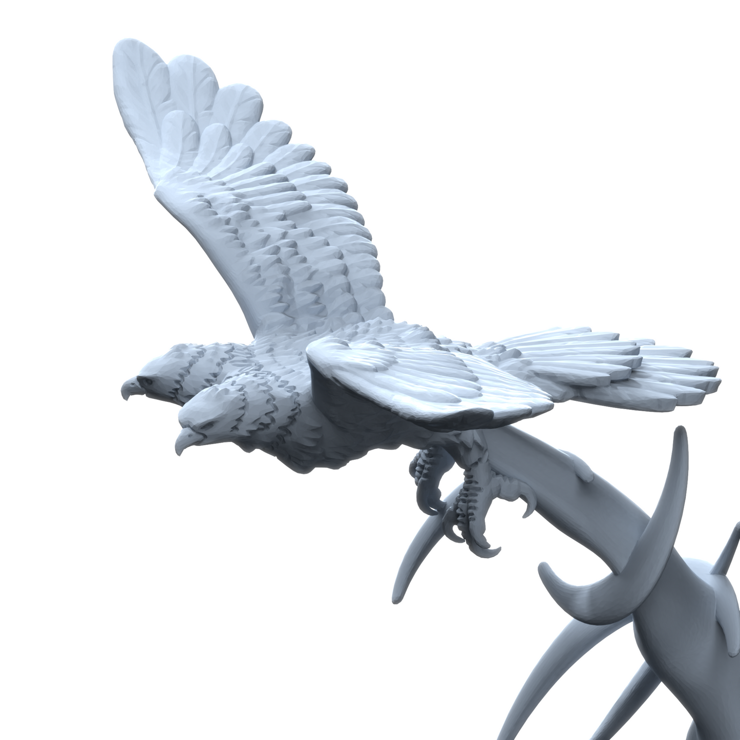 Collosea with Eagle | Inquisitaria