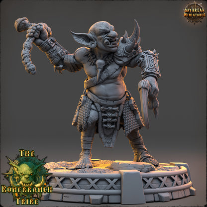 Snaggrik Cleavertooth - The Bonebranch Tribe