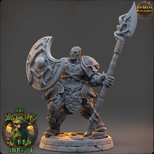 Sover Ilthwyn - The Walkers of Ferro Forest