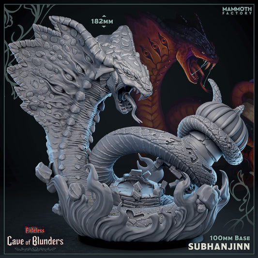 Subhanjinn- Cave of Blunders