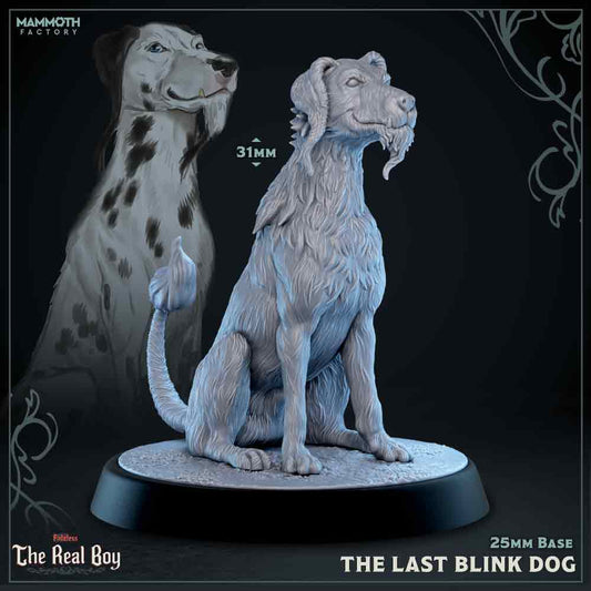 The Last Blink Dog - The Real Boy