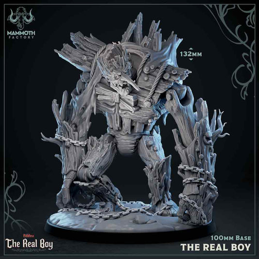 The Real Boy - The Real Boy