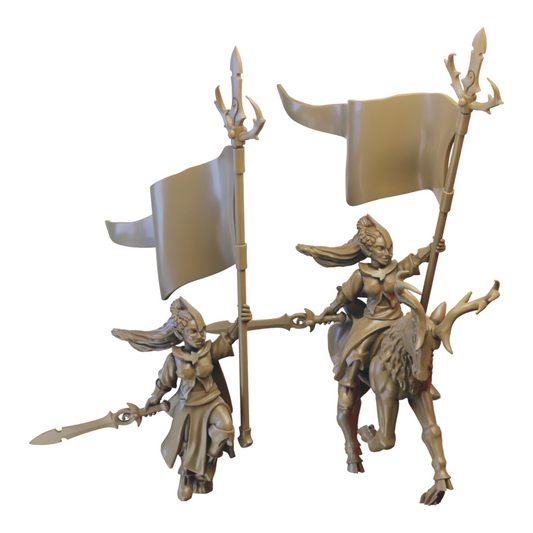 Battle Standard Bearer | Wood Elves