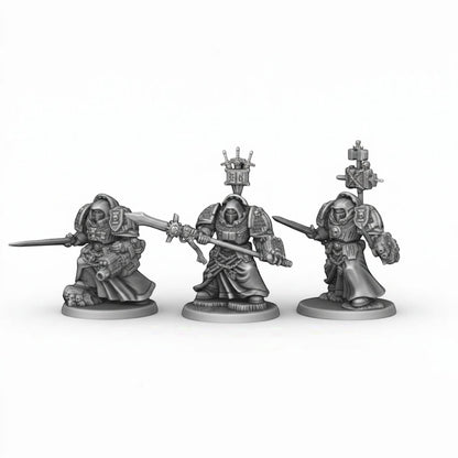CT Miniatures UK Silver Wardens Paladins miniatures with swords and heavy weapons, designed for tabletop games.