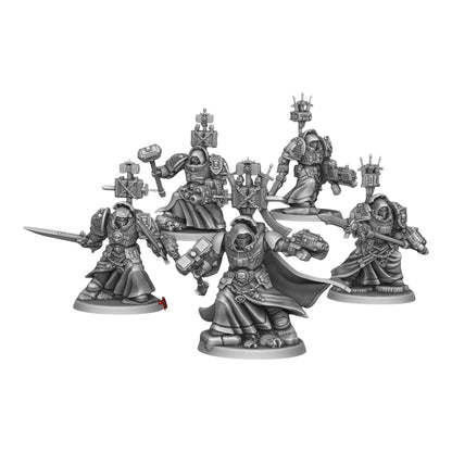 CT Miniatures UK Silver Wardens Paladin squad with heavy weapons and power weapons in grey resin for tabletop gaming