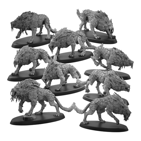 Sons of Fenrir Squad