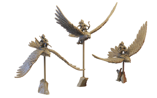 Greathawk Riders | Wood Elves