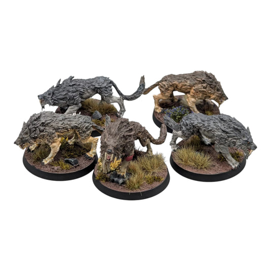 Sons of Fenrir Squad