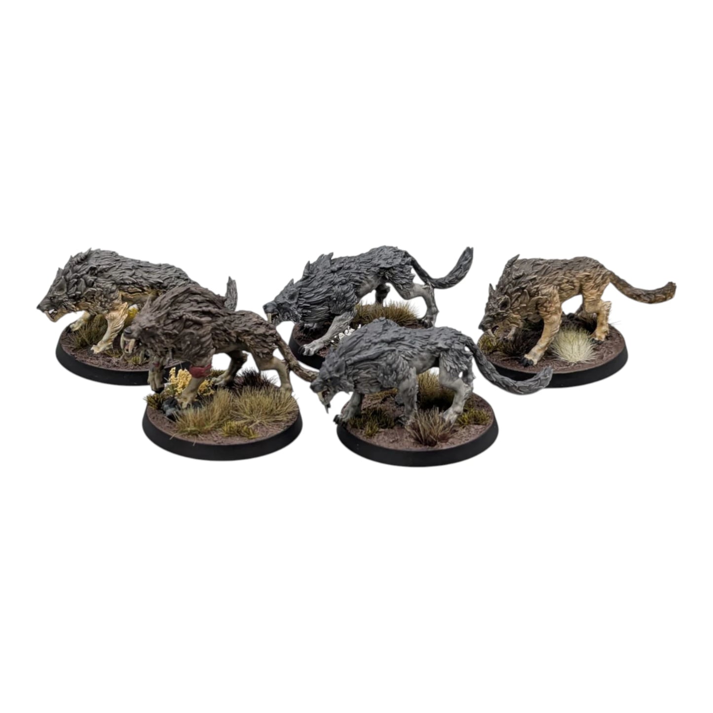Sons of Fenrir Squad
