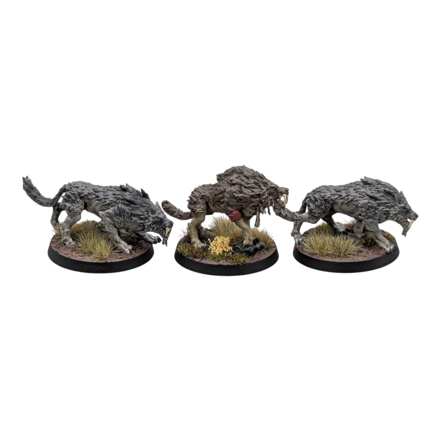 Sons of Fenrir Squad