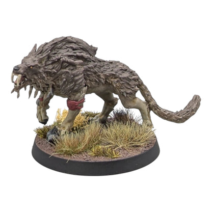Sons of Fenrir Squad
