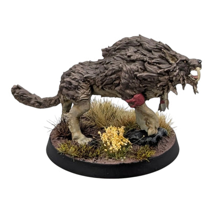 Sons of Fenrir Squad