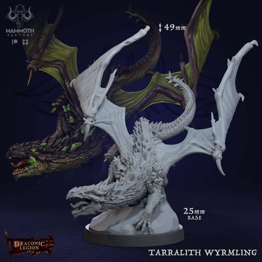 Tarralith Wyrmling | Draconic Legion | by Mammoth Factory | Dungeons and Dragons | Tabletop Games | Wargaming | Resin Miniature